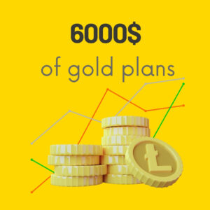 6000$ of gold plans