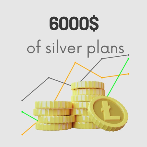 6000$ of silver plans