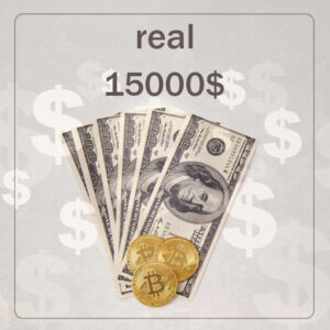15000$ of real plans