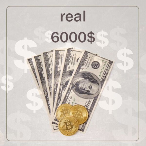 6000$ of real plans