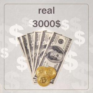 3000$ of real plans