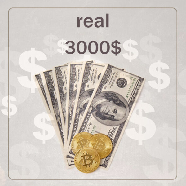 3000$ of real plans